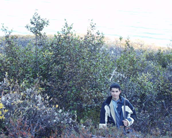 2001-10 Rensdyrjagt i Amerlik