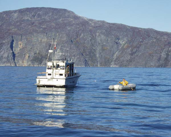 2001-10 Rensdyrjagt i Amerlik