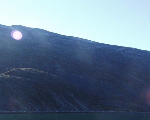 2001-10 Rensdyrjagt i Amerlik