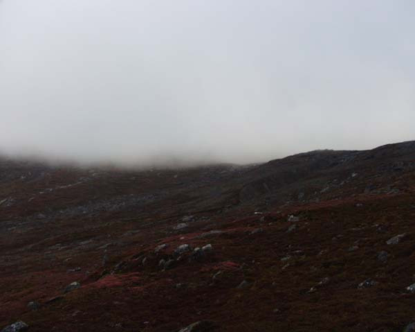 2001-10 Rensdyrjagt i Amerlik