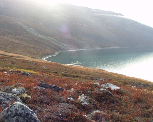 2001-10 Rensdyrjagt i Amerlik