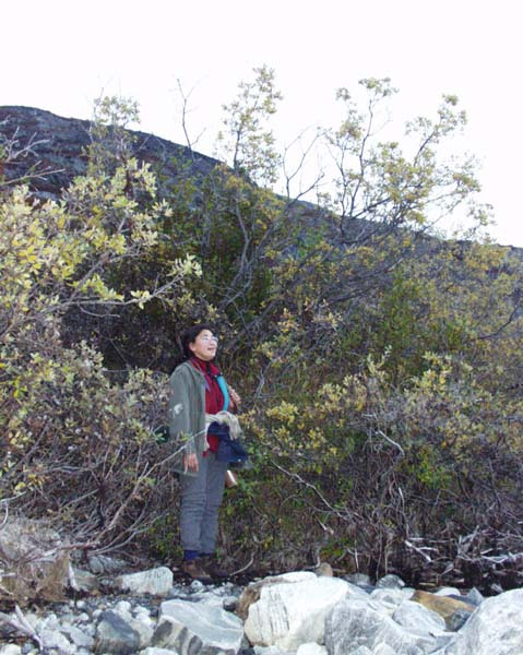 2001-10 Rensdyrjagt i Amerlik