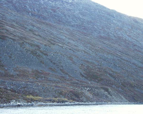 2001-10 Rensdyrjagt i Amerlik