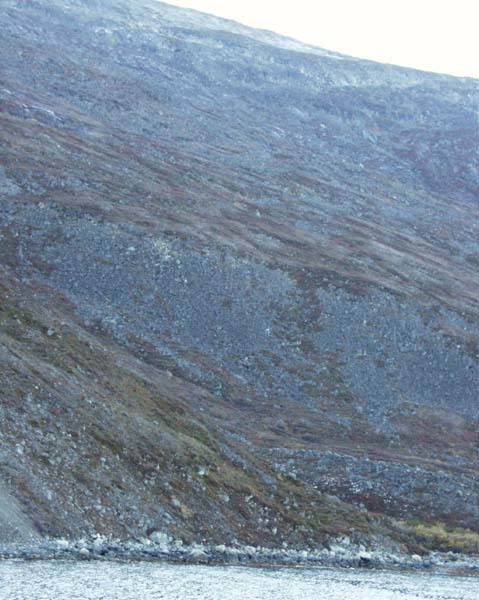 2001-10 Rensdyrjagt i Amerlik