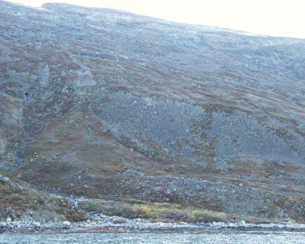 2001-10 Rensdyrjagt i Amerlik