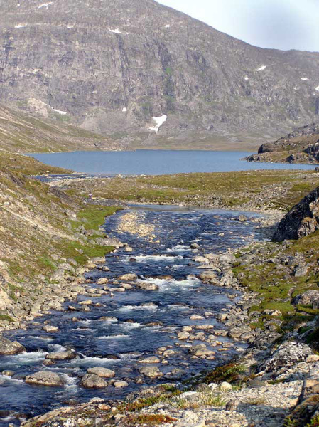 2004-07-16_elven