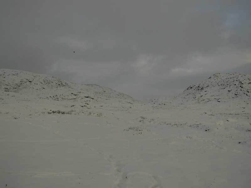 2004-10-29-fjeldet
