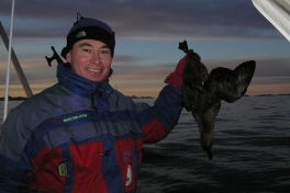 2004-12-05-jesper_edderfugl