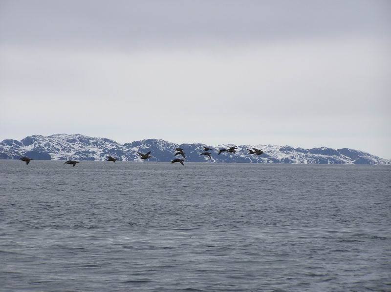 2005-05-09_alus_foerste_sejltur_024