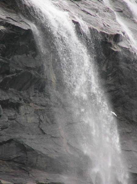 2005-05-21_Sermitsiak_vandf