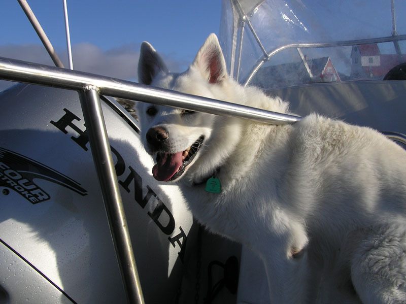2005-06-_Nanortalik_052