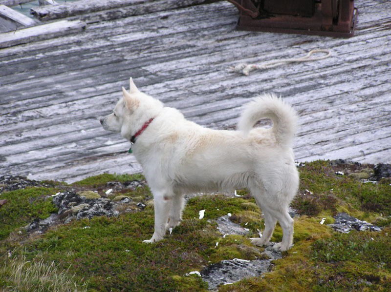 2005-06-_Tur_sydpaa_018