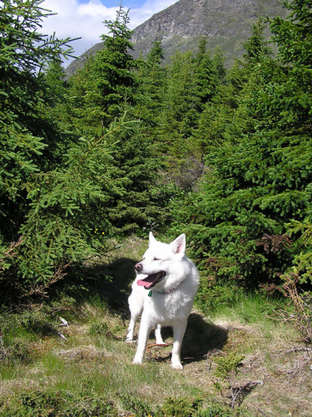 2005-06-_Tur_sydpaa_065