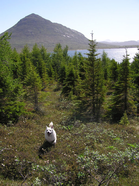 2005-06-_Tur_sydpaa_074