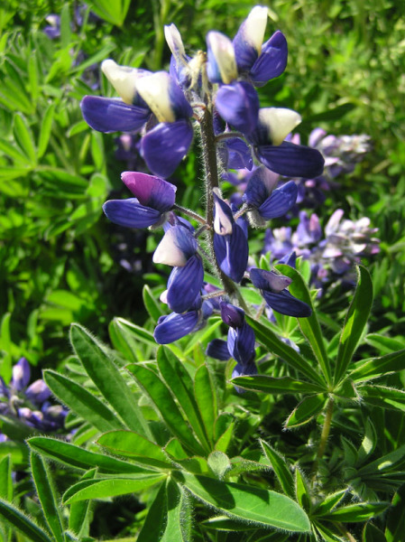 2005-06-_Tur_sydpaa_082