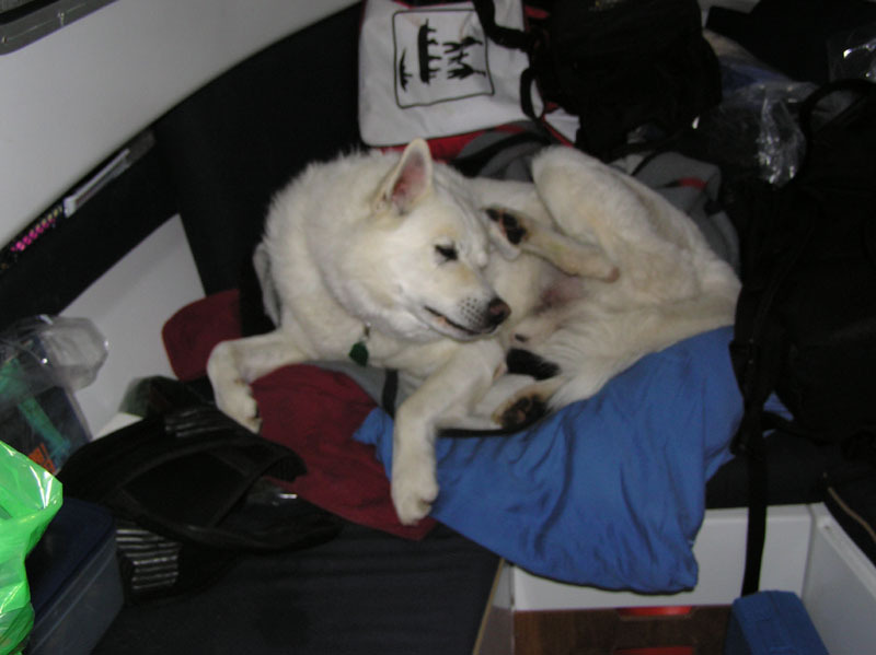 2005-07-03_Konfirmation_001