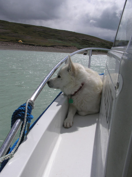 2005-07-06-07_Narsarssuaq_017