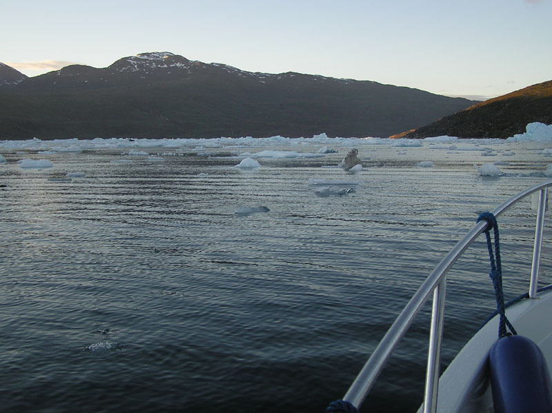 2005-07-06-07_Narsarssuaq_090