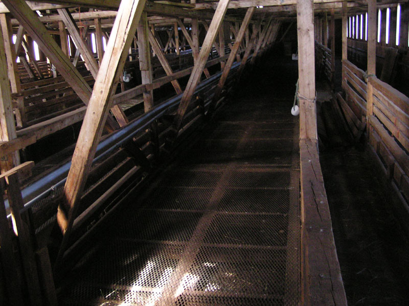 2005-07-08-09_Tasiusaq_009