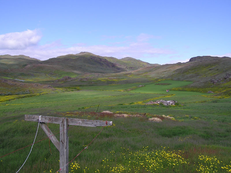 2005-07-08-09_Tasiusaq_016