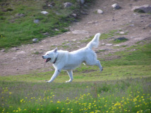 2005-07-08-09_Tasiusaq_031