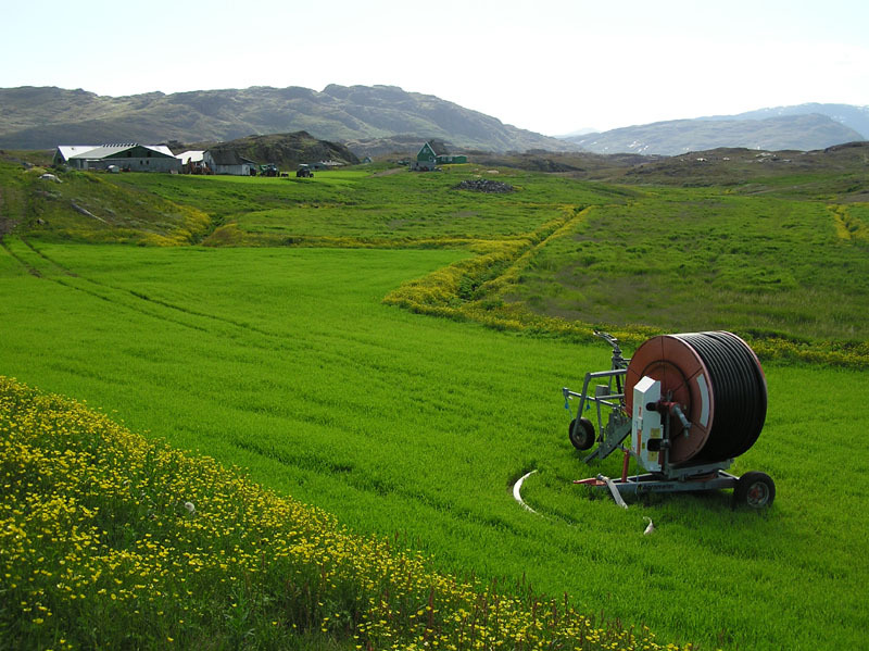 2005-07-08-09_Tasiusaq_038
