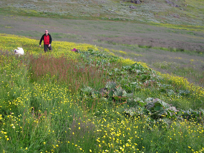2005-07-08-09_Tasiusaq_039