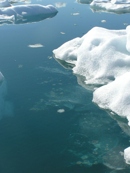2005-07-08-09_Tasiusaq_091