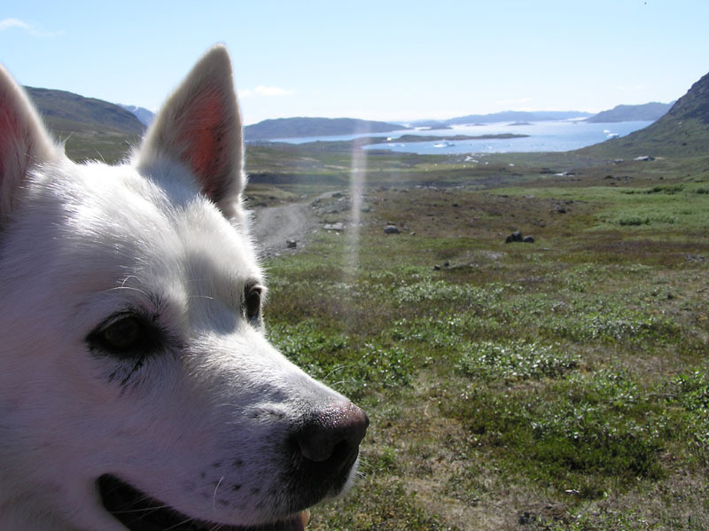 2005-07-11_Narsaq_089
