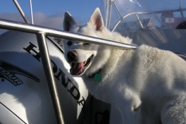 2005-06-_Nanortalik_052