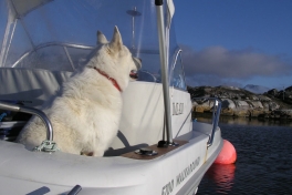 2005-06-_Nanortalik_054