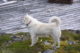 2005-06-_Tur_sydpaa_018