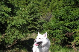 2005-06-_Tur_sydpaa_065