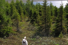 2005-06-_Tur_sydpaa_074