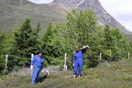 2005-06-_Tur_sydpaa_075