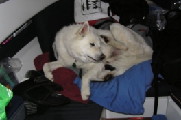 2005-07-03_Konfirmation_001