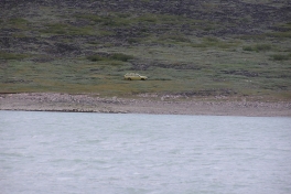 2005-07-06-07_Narsarssuaq_023
