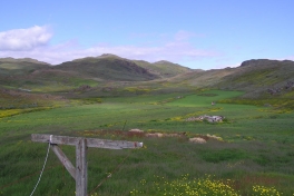 2005-07-08-09_Tasiusaq_016