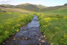 2005-07-08-09_Tasiusaq_019