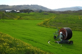 2005-07-08-09_Tasiusaq_038