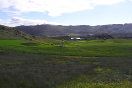2005-07-08-09_Tasiusaq_042