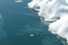 2005-07-08-09_Tasiusaq_091