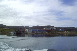 Nanortalik_aallaliv_021