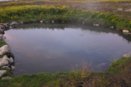 2005-07-04-06_unartoq_mm_085