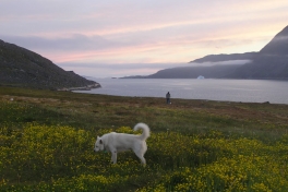 2005-07-04-06_unartoq_mm_091