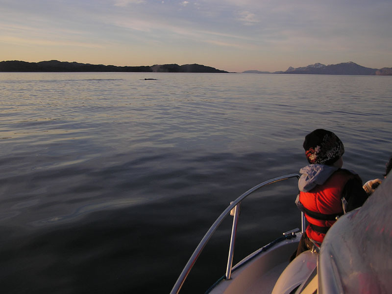 2005-07-25_ivalo_rumle_peter_jesper_hvaltur_058