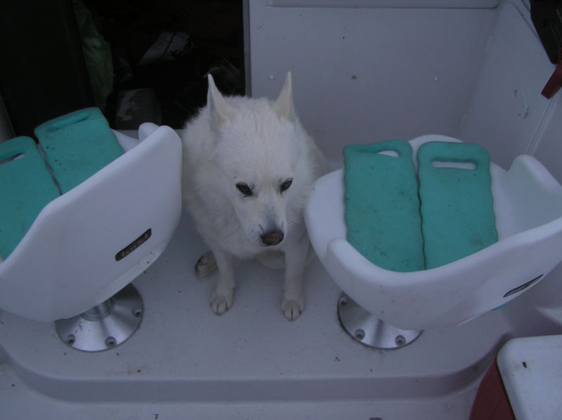 2005-07-25_Palle_soeren_nanoq_qorqut_045