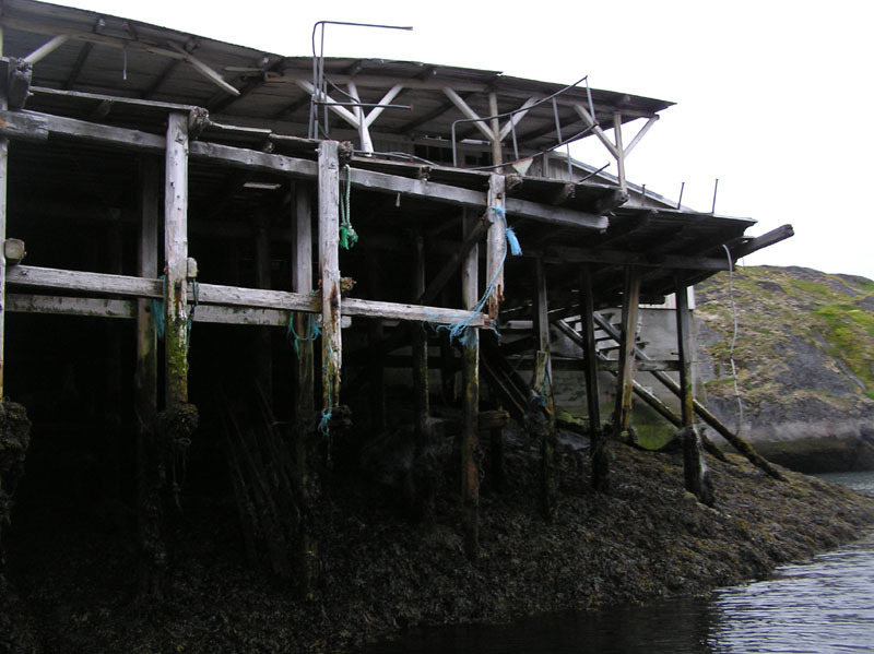 2005-07-27-28_Alu_dorthe_barn_soeen_sejltur_020