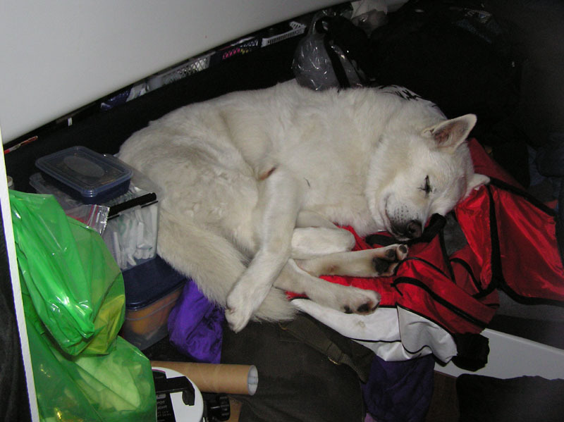 2005-08-20_QUSSUK_BARN_SOEREN_NANOQ_006