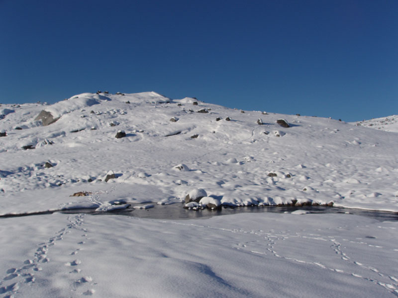 2005-09-24_rensdyrjagt_anja_soeren_jesper_carlo_henrik_qussuk_002